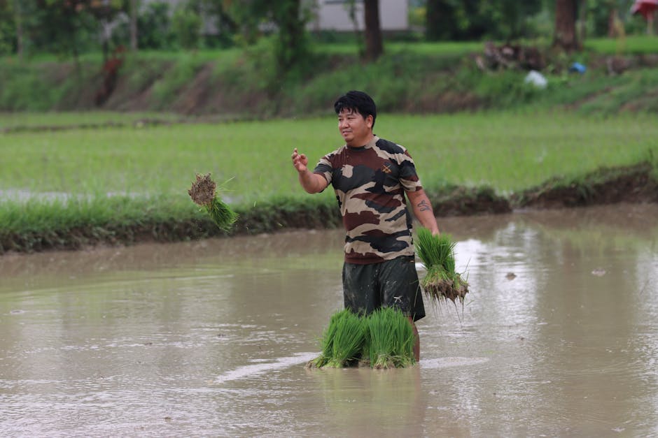 aides sinistrés inondations