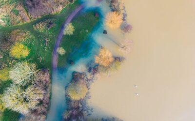 Les répercussions écologiques prolongées des inondations