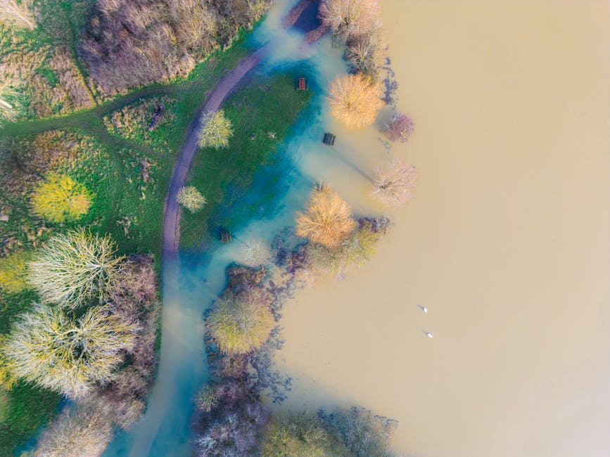 Les répercussions écologiques prolongées des inondations