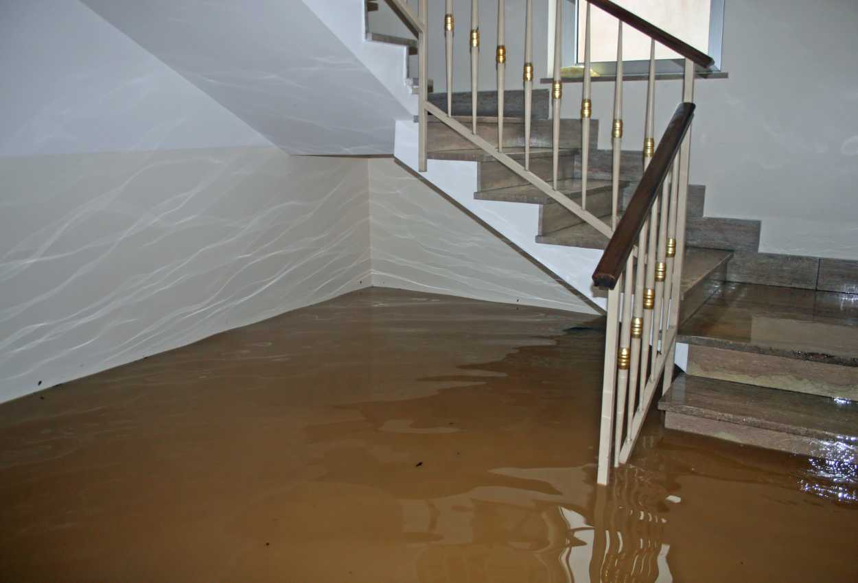 Un sous-sol submergé par de l'eau boueuse suite à une inondation, avec le niveau d'eau atteignant les premières marches.