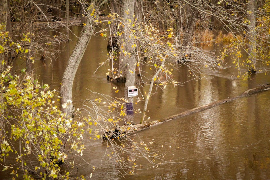 systèmes alerte inondations